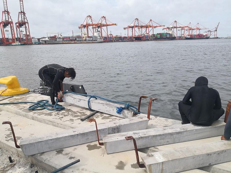 鋼樁碼頭施工方案